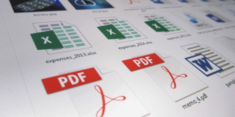 pdf embed document