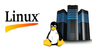 What is a Linux server and Why Does Your Business Need One