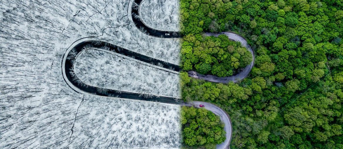 aerial photography