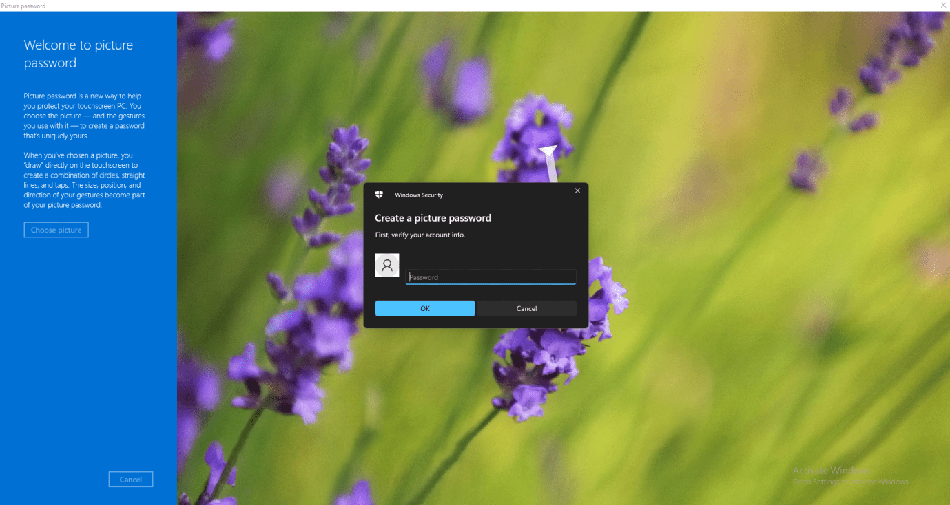 Windows 10 Picture Password