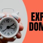 Expired Domain List with Great Backlinks