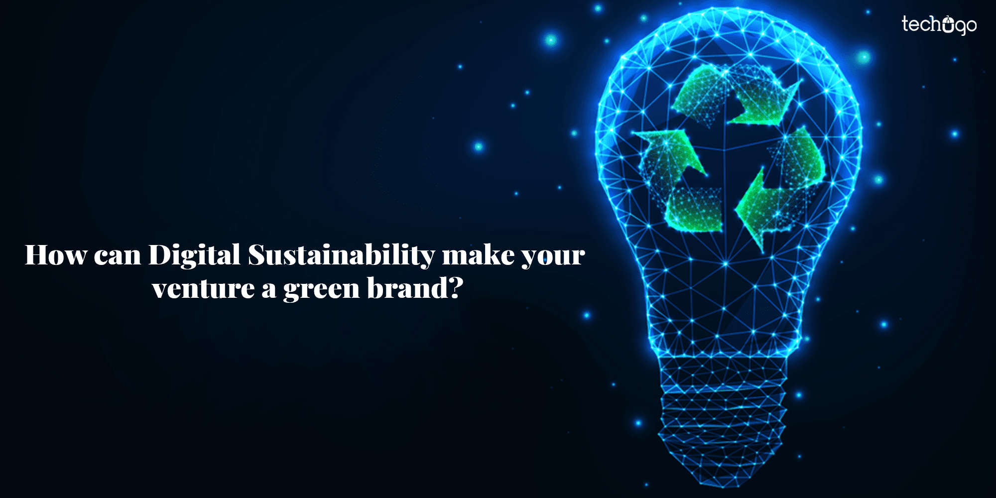 How Can Digital Sustainability Make Your Venture a Green Brand?