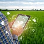 Three Emerging Applications of IoT in Agriculture