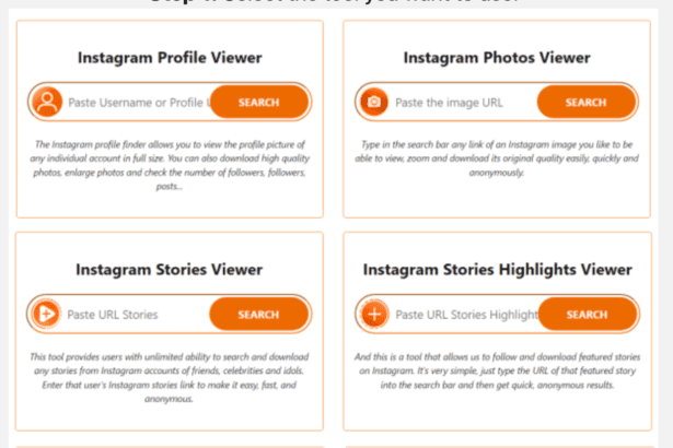 Imginn webpage