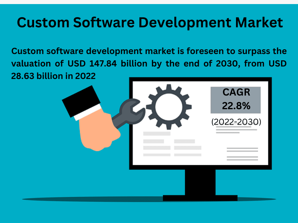 custom software development market