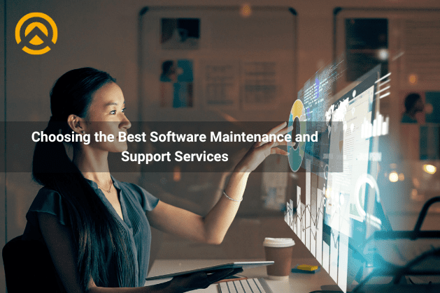 A Guide to Choosing the Best Software Maintenance and Support Services in 2024