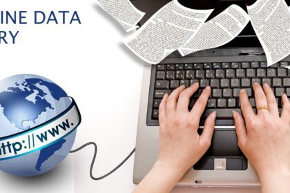 How Do Data Entry Services Support Big Data Analytics?