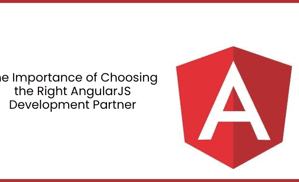 The Importance of Choosing the Right AngularJS Development Partner